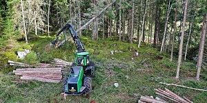 Forestry