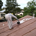 Roof painting
