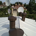 Roof painting