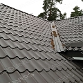 Roof cleaning