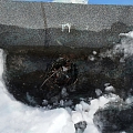 Roof repair in winter