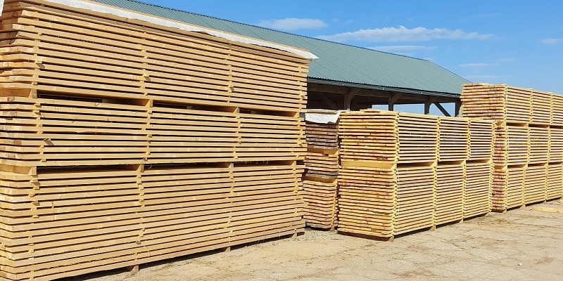 Timber