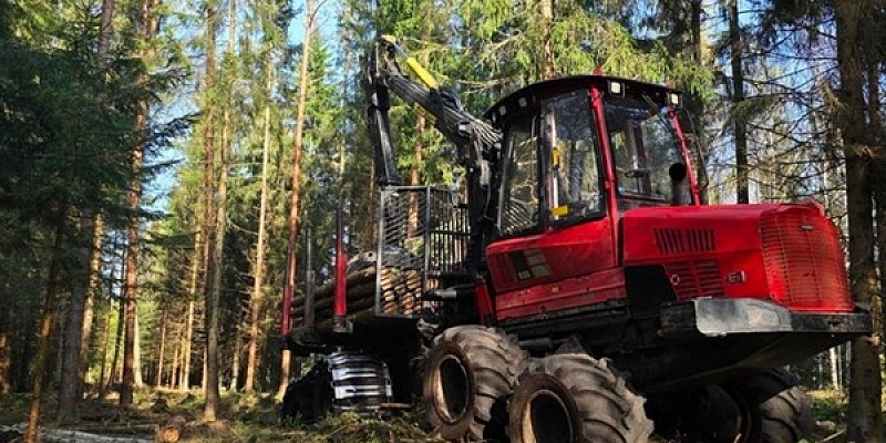 Timber transportation