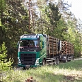 timber procurement and transportation