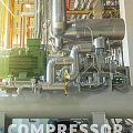 Compressor oils