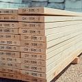 Timber trading company in Latvia