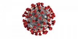 Дезинфекция