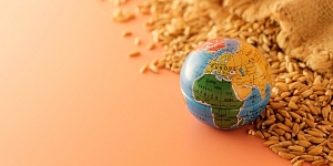 Crop exports worldwide