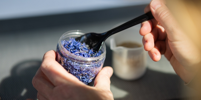 Мастер-классы по очистке