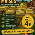 Sausa malka maisos