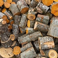 Sale of firewood throughout Kurzeme