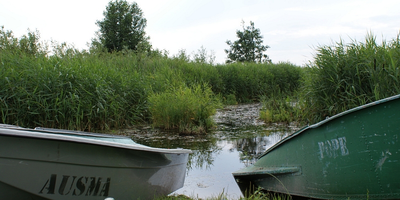 Boat rental and fishing