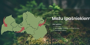 Закупка леса