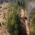 forest betterment