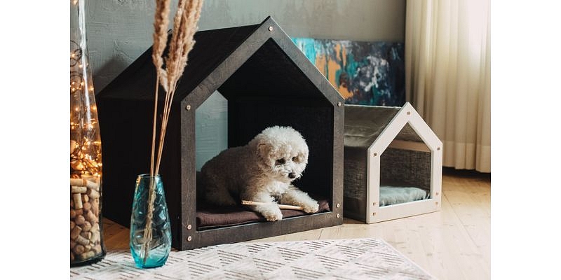 A house for your pet