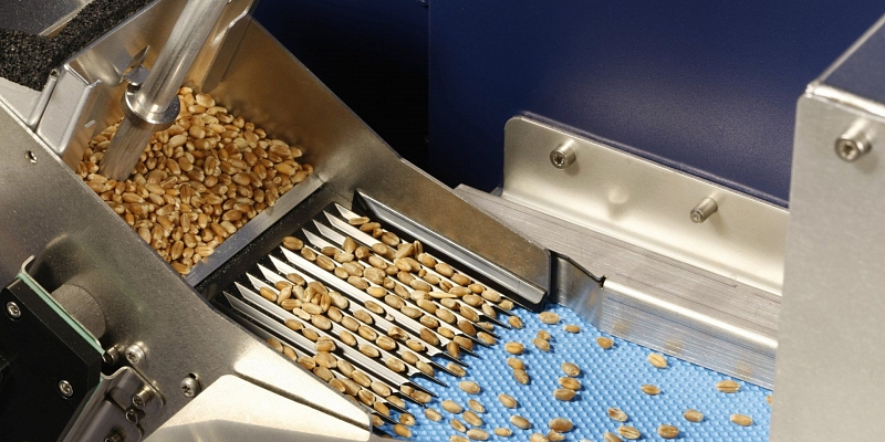 Grain analyzer