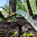 Borehole