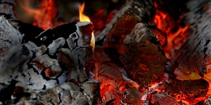 Skolotāji un prakses vadītāji