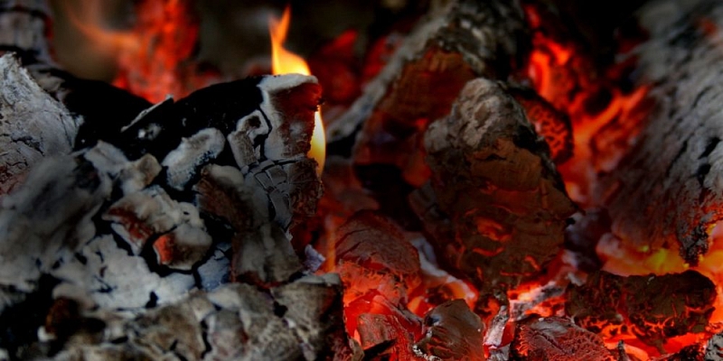 Teachers and practice leaders