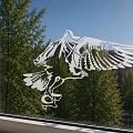 Bird stickers on the window