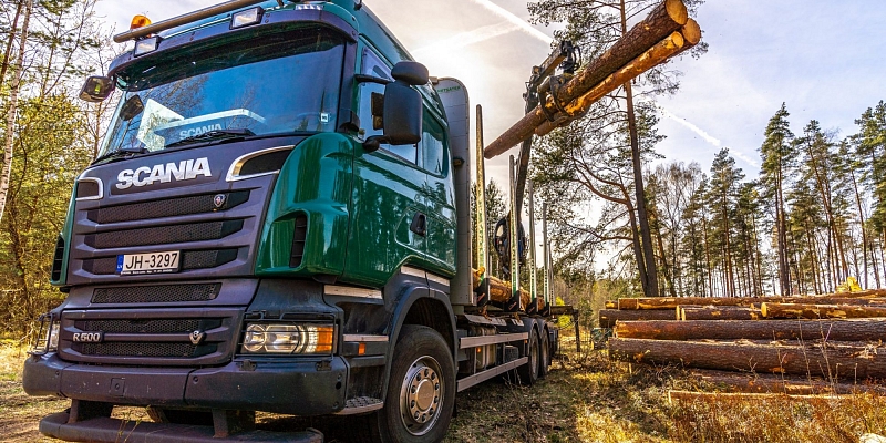 Timber hauler, harvester services
