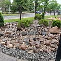 planting care