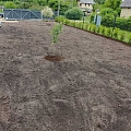 lawn care