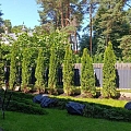 Greenery maintenance