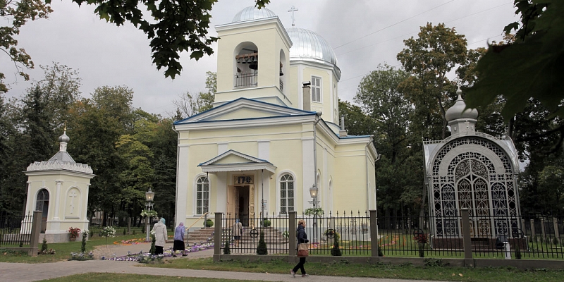 Новинки