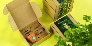 Предложения