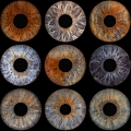 Skaistas un unikālas acs varavīksne