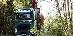 Purchase of wood materials