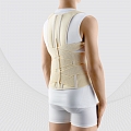 posture corrector for lower thoracic and lumbar spine