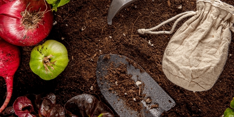 Seeds in small packages