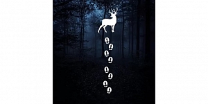 Как делать покупки