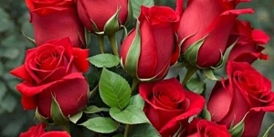 Fresh flowers