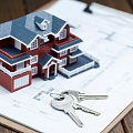 We buy forest and agricultural properties