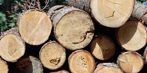Forestry