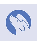 VITA COMITE MEDICUS, LTD