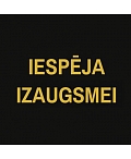 Iespēja izaugsmei, ООО